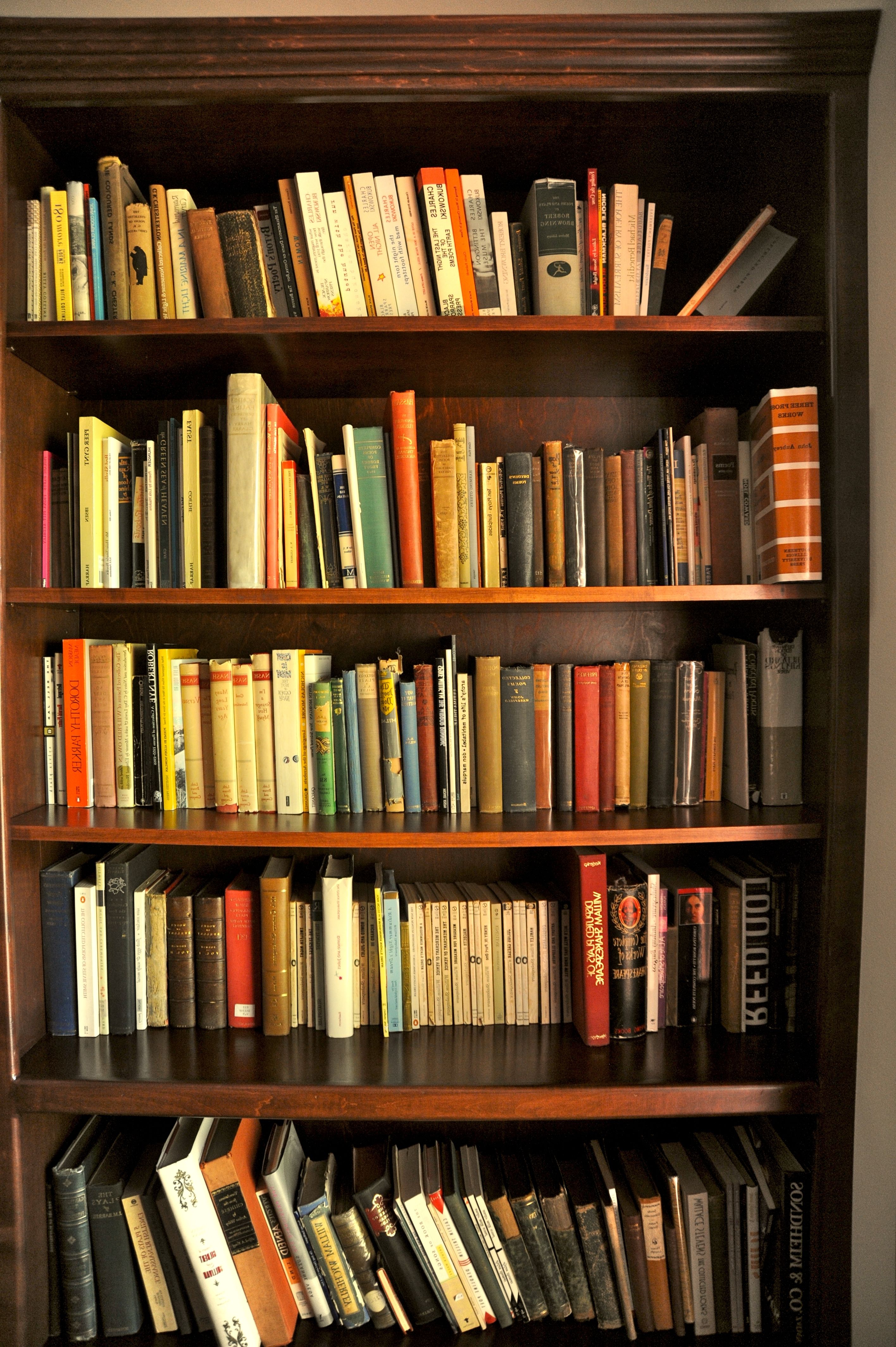 15 Best Collection Of Bookshelves