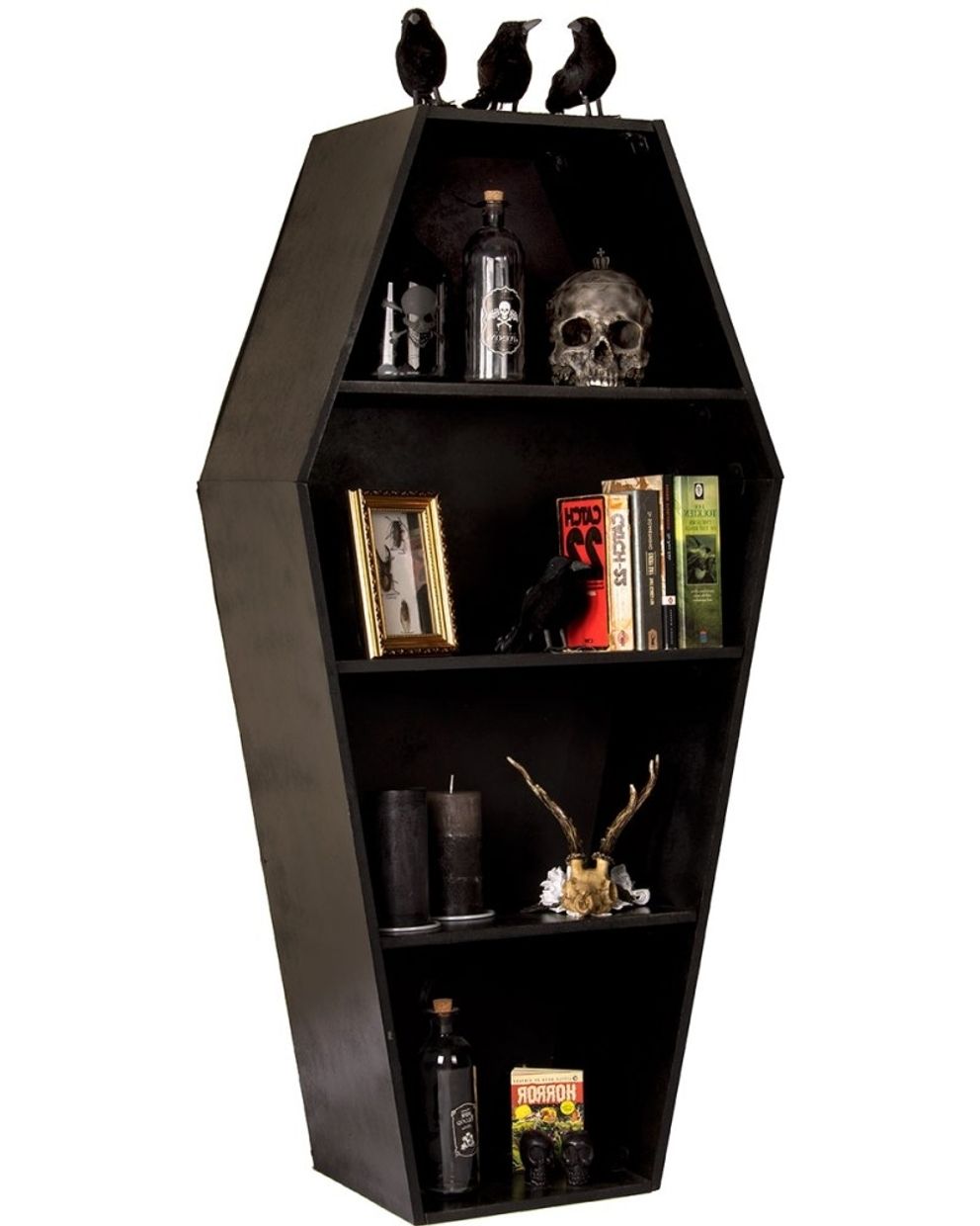 15 The Best Coffin Bookcases